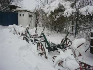 vand carute vechi