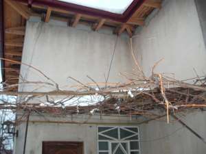 CASA PE BULEVARDUL MIHAI EMINESCU