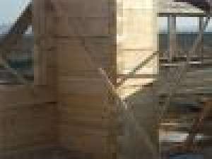 sc sarpante sf gheorghe