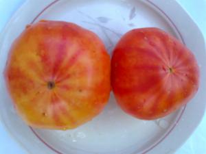 VAND SEMINTE DE TOMATE SOIURI RARE ORGANICE BIO