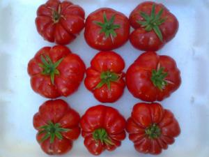 VAND SEMINTE DE TOMATE SOIURI RARE ORGANICE BIO