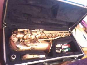 sax estman 501