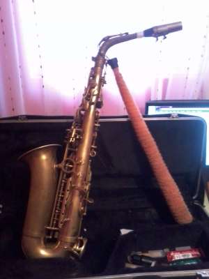 sax estman 501