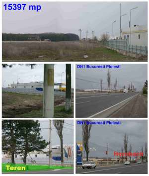 Vand Teren intravilan (particular),  construibil DN 1.