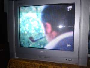 TV IVORY