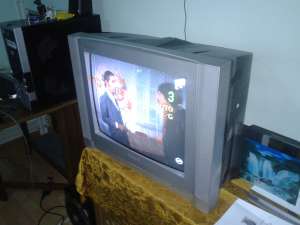 TV IVORY