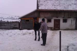 vand manz 10 luni