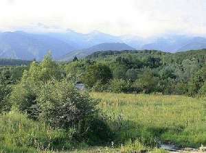 Vand 2300mp teren montan pentru casa de vacanta,    pensiune,    pastravarie,    valea Porumbacului 