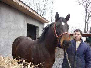 Vand cal Lipitam