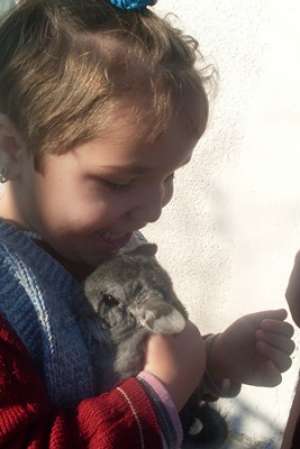 vand chinchilla
