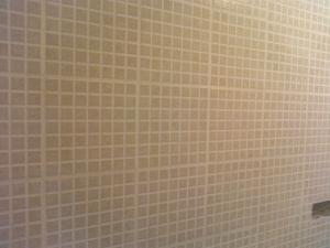 Zugraveli ,   gresie,    faianta,    parchet,    renovari.