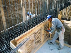 Constructorul De Case Trainice La Rosu