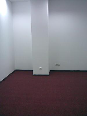 Echipa de meseriasi.Amenajari interioare