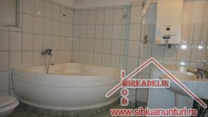 INCHIRIEZ GARSONIERA la casa,   40 mp,   ZONA PIATA CIBIN