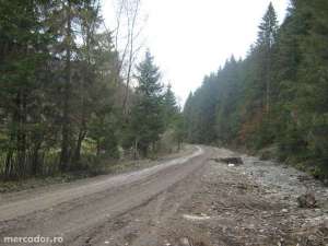 teren montan pt cabana 1000m