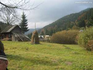 teren montan pt cabana 1000m