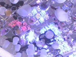 VAND LUSTRE