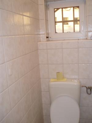 Ofer spre INCHIRIERE VILA S+P+1 136mp desfasurat,    recent renovata. Stare Exceptionala. Pretabila 