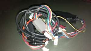 parrot CK3100