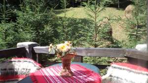 VORONET BUCOVINA -SARBATORI DE PASTE - VILA DOINA