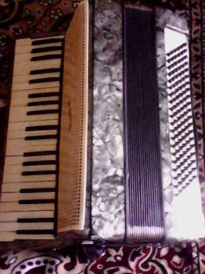 Acordeoane vanzare