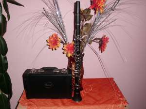 vind clarinet eastman