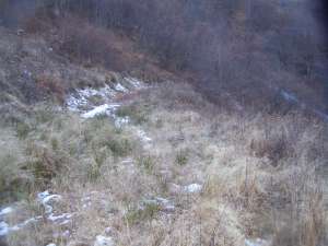 Vanzare Terenuri Valea Sebesului (Transalpina)
