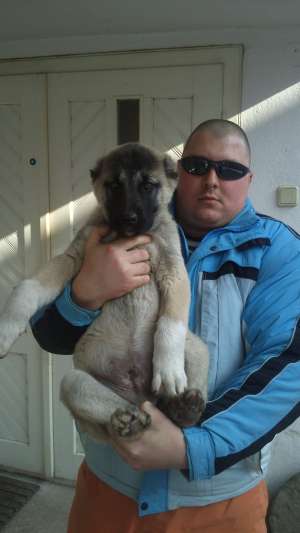 pui kangal 9 saptamini