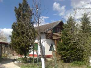 vand casa dimieni