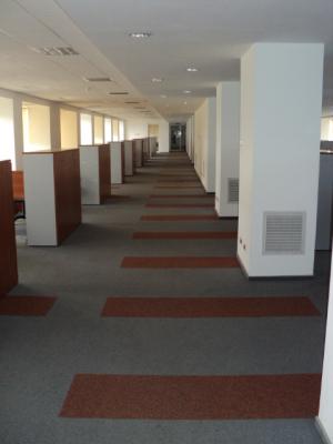 Birouri de inchiriat Floreasca,   1100 mp