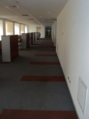 Birouri de inchiriat Floreasca,   1100 mp