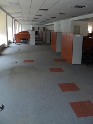 Birouri de inchiriat Floreasca,   1100 mp