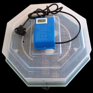 Incubatoare oua cleo5 cu intoarcere automata