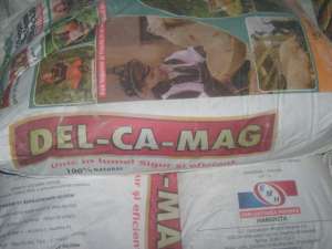 DEL CA MAG(DOLOMITA AMORFA