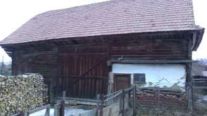 Sura cu grajd