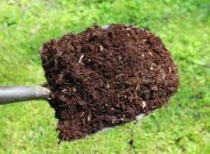 Mranita ,  ingrasamant natural pentru legume,  pomi fructiferi,  pomi si plante ornamentale,  substr