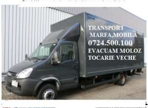 ACTIVITATE TRANSPORT