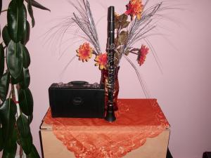vind clarinet  eastman sau variante