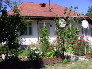 Casa cu incalzire centrala