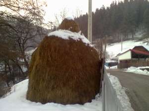 f�naț de v�nzare