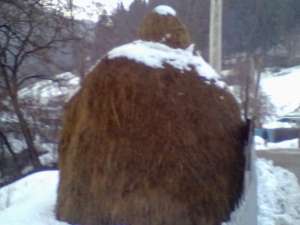 f�naț de v�nzare