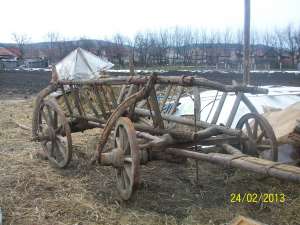vand car pentru boi autentic 75-80 ani vechime