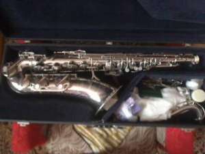 Saxonon Guban Timisoara Alto