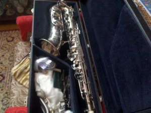 Saxonon Guban Timisoara Alto