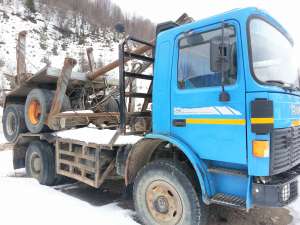 Autospeciala transport busteni ROMAN  cu troliu