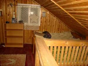 Schimb cabana din Straja cu apartament in Timisoara