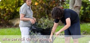 CURATENIE LA DOMICILIUL CLIENTULUI