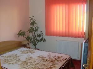 vind apartament 3 *****comandat cu pivnita si parcare