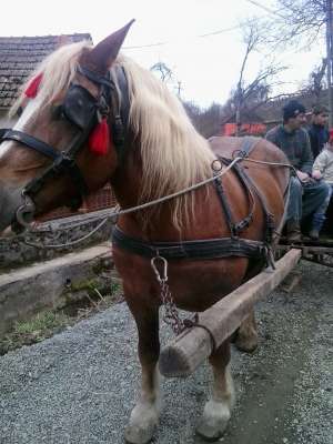Vand urgen cai