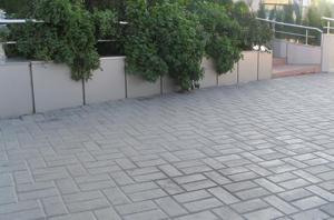 peisagistica curte si gradina